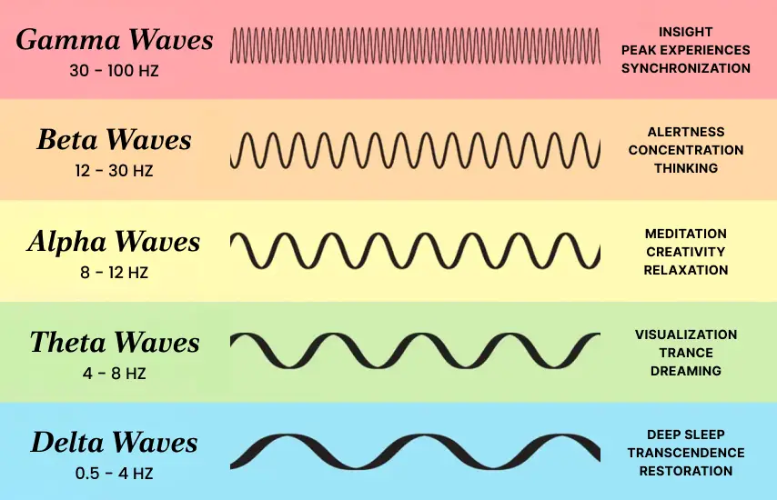 Brain Frequencies and Nervous System